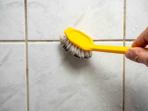 Best Mold Testing and Removal  in Bayside, WI