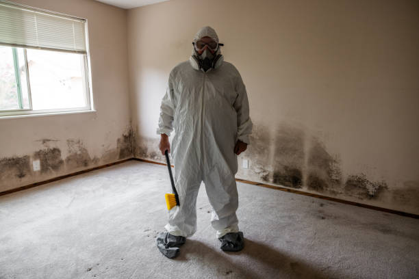 Mold Testing and Removal in Bayside, WI